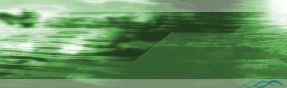Los Angeles Web Design SEO Partners