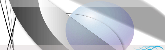Los Angeles Web Design