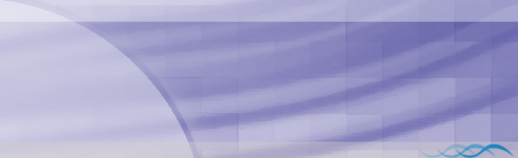Los Angeles Web Design Web Site Hosting Partners